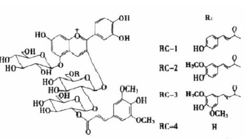 甘藍紅色素是安全 無毒的食品添加嗎