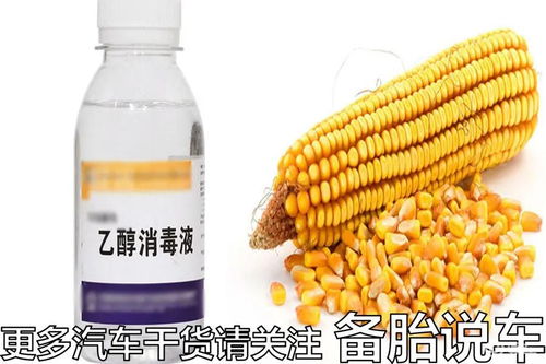 德國真的放棄乙醇汽油 為什么國內(nèi)還大力推廣 真相出人意料